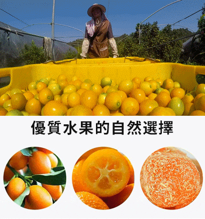 1705296508129057.gif 1.gif