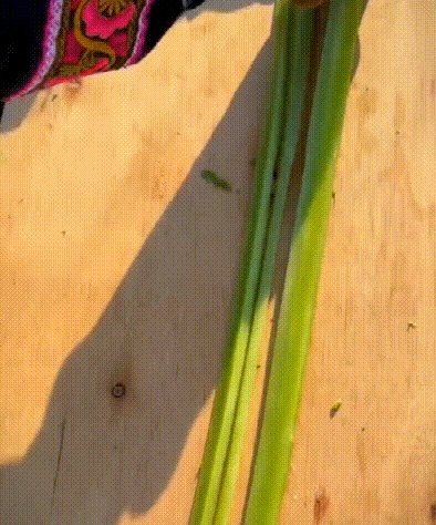 1714654318560568.gif 1.gif