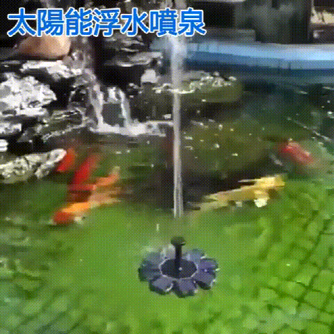 1717509665242430.gif 5333965529fc0d9d5e8e6caf8c7113b5 (1).gif